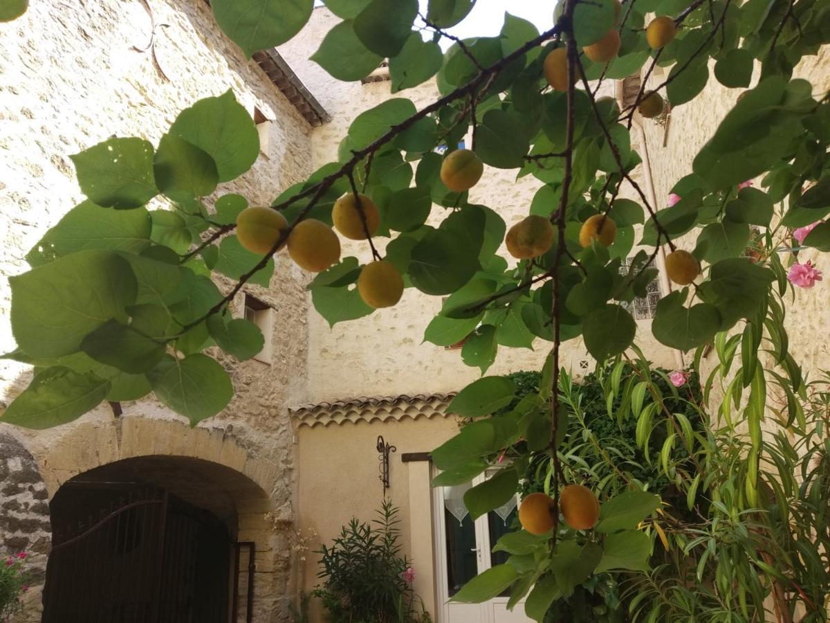 Le Terebinthe B&B Lauris Exterior photo